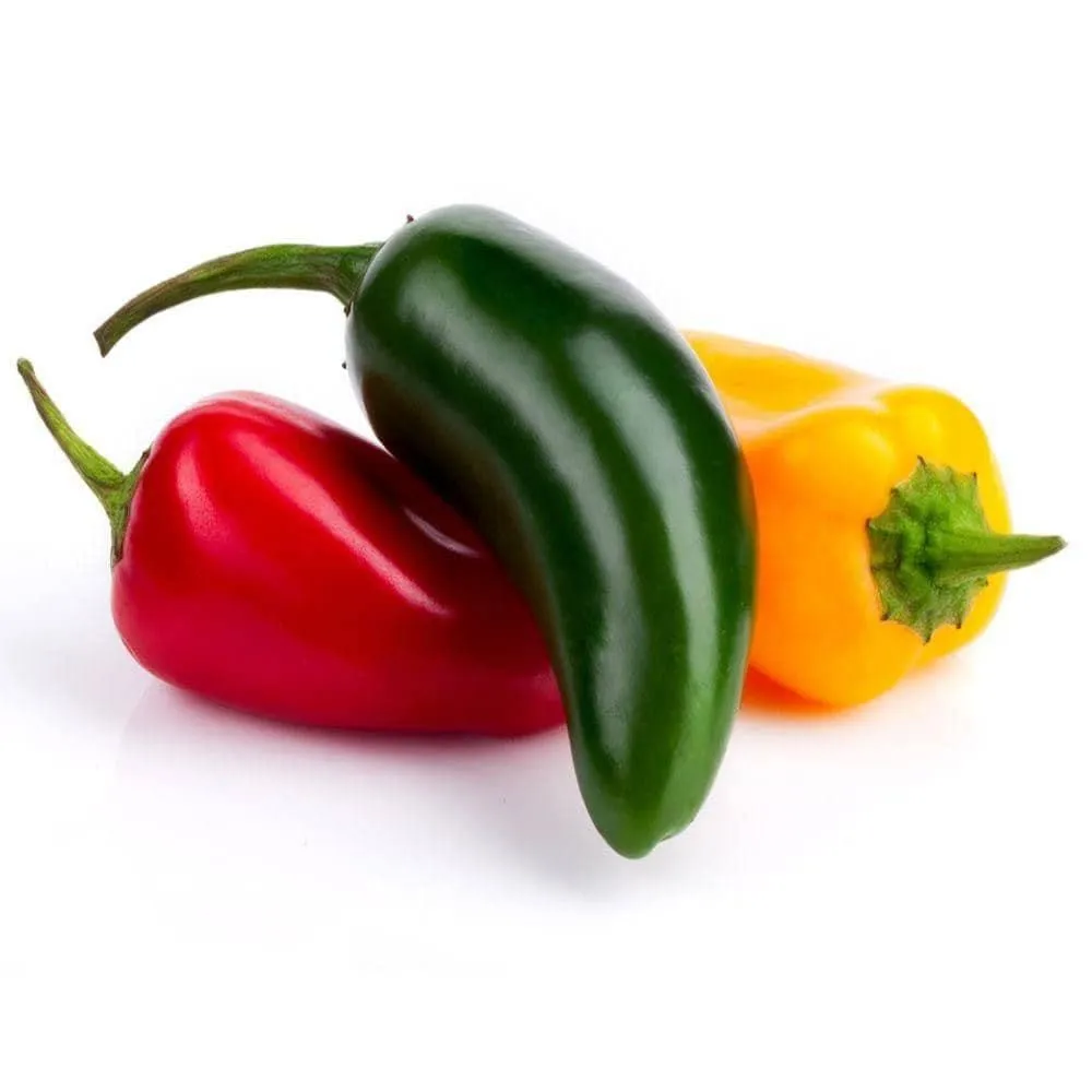 Heirloom Jalapeno Pepper Seeds (.5g) by Patriot Seeds